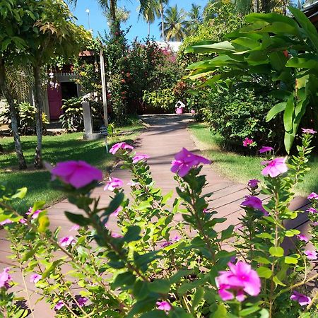 Hotel Casa Robinson Las Terrenas Eksteriør billede