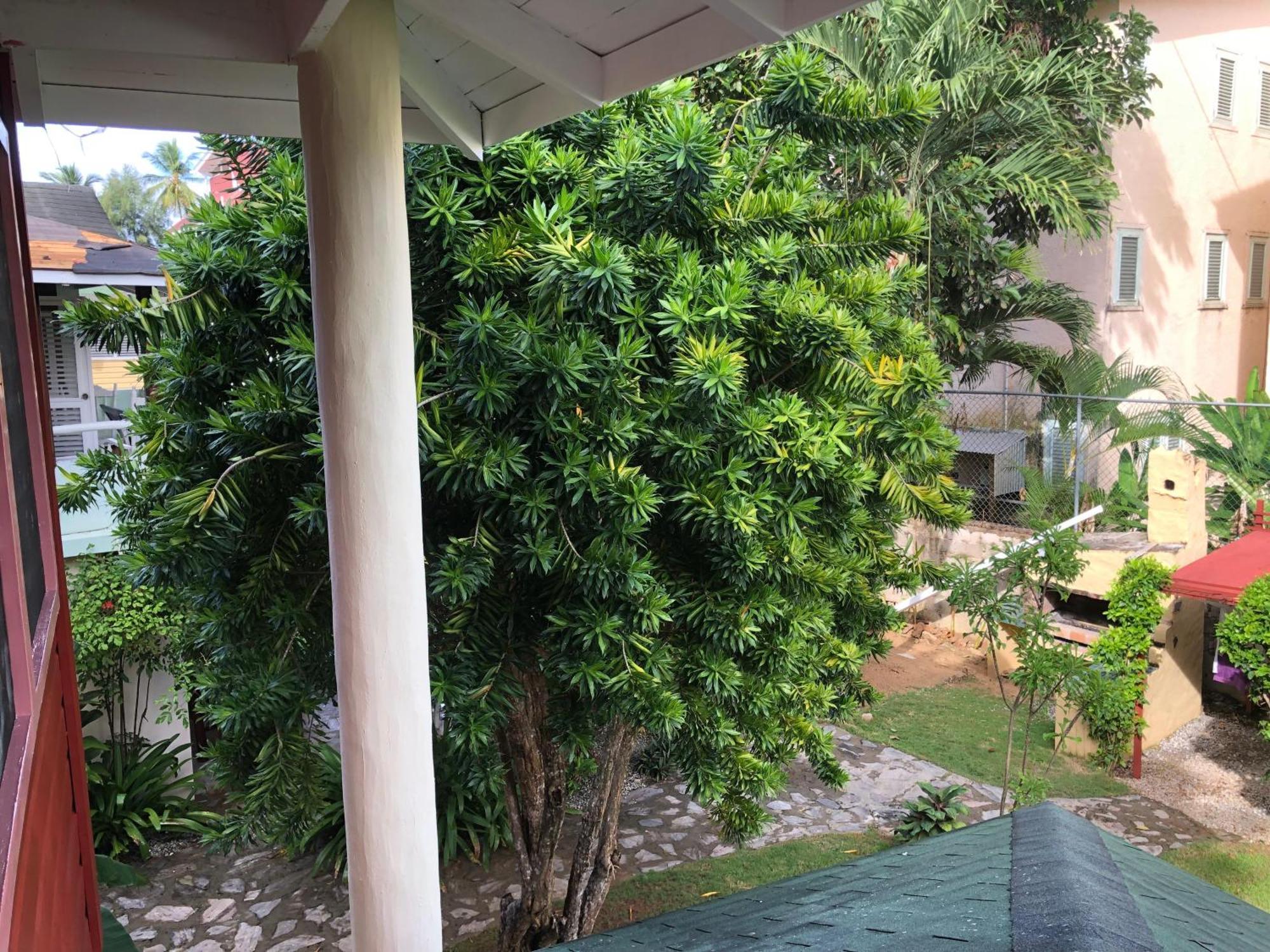 Hotel Casa Robinson Las Terrenas Eksteriør billede