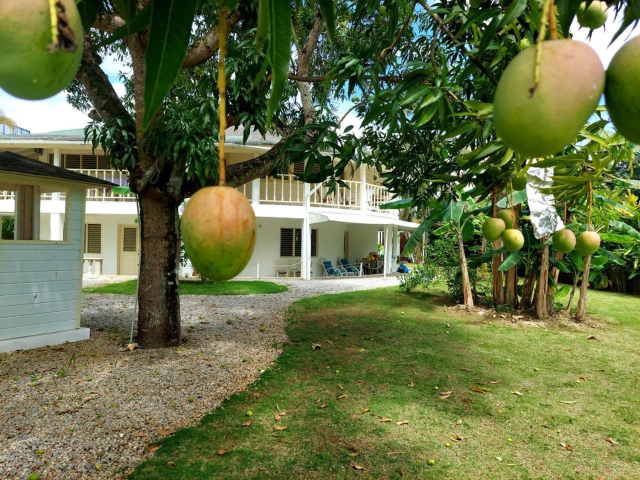 Hotel Casa Robinson Las Terrenas Eksteriør billede