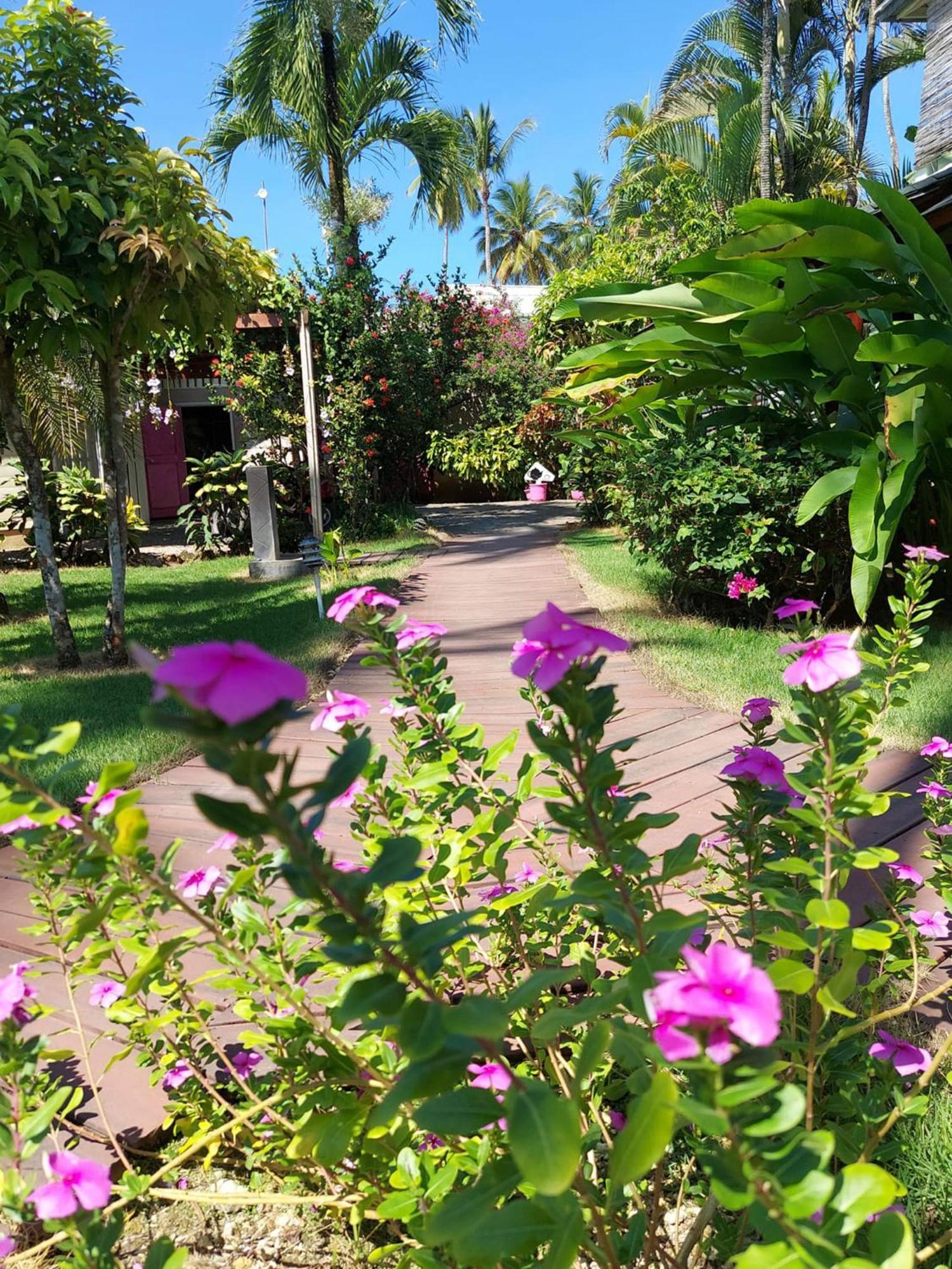 Hotel Casa Robinson Las Terrenas Eksteriør billede