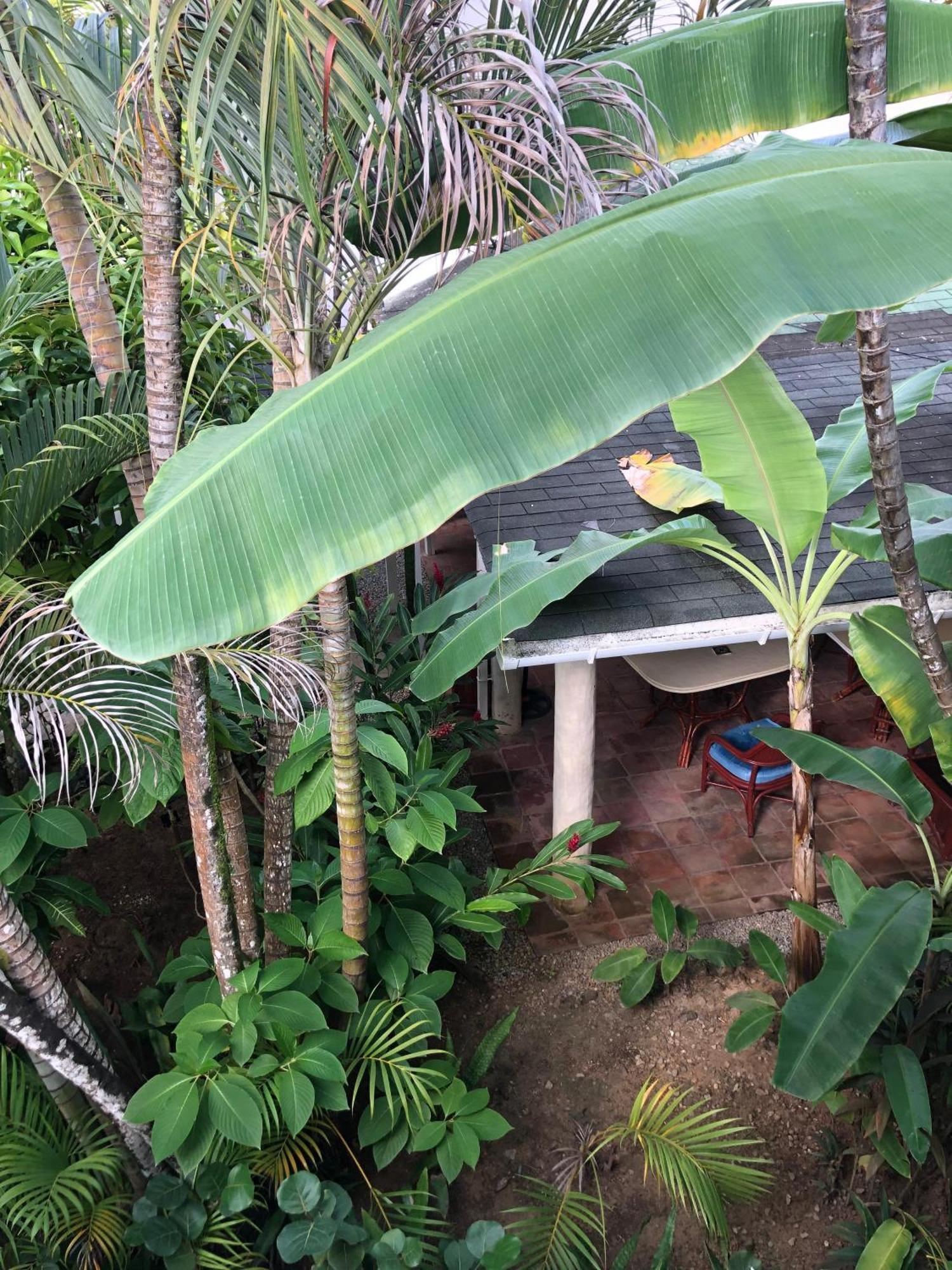 Hotel Casa Robinson Las Terrenas Eksteriør billede