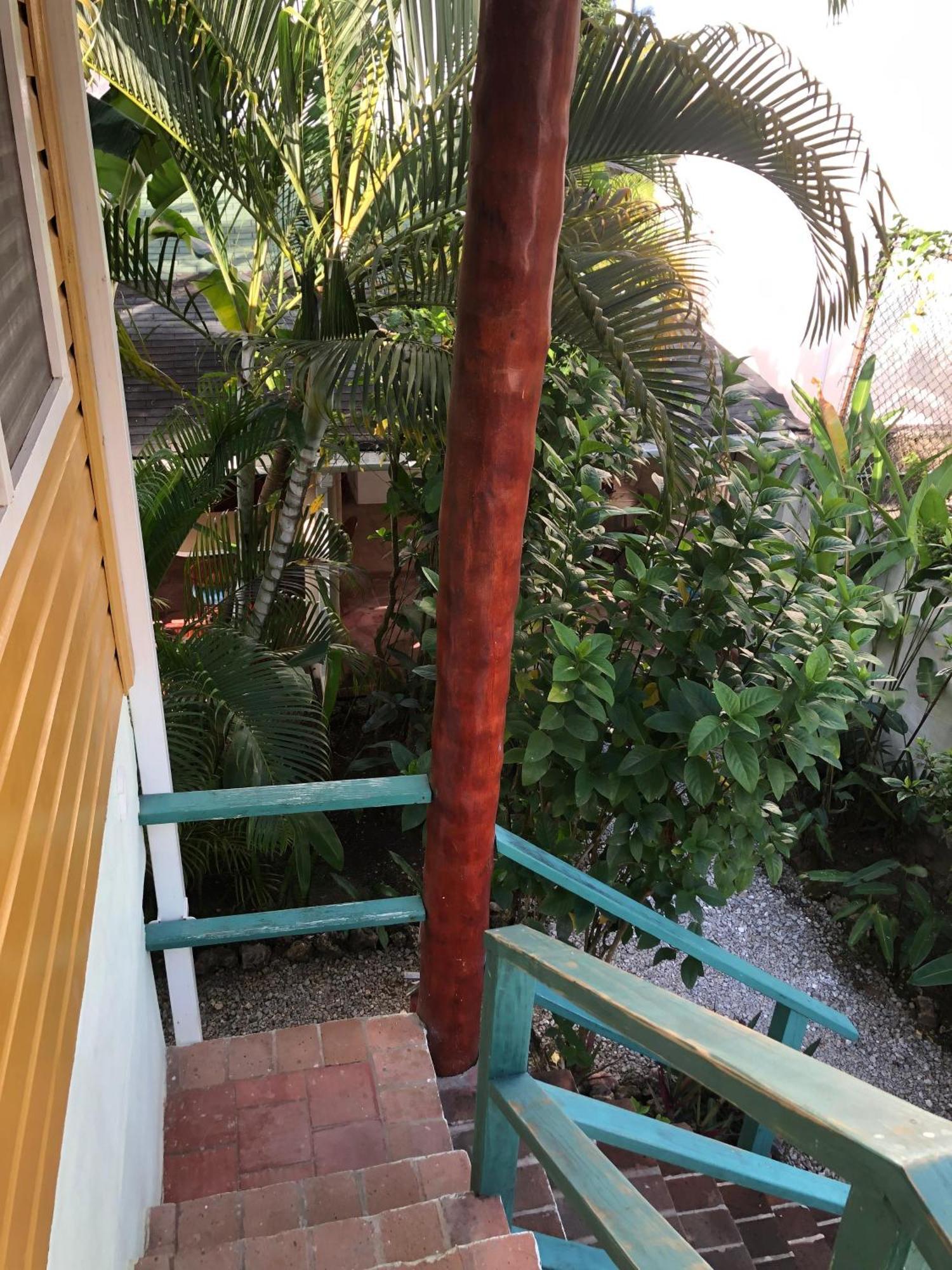 Hotel Casa Robinson Las Terrenas Eksteriør billede
