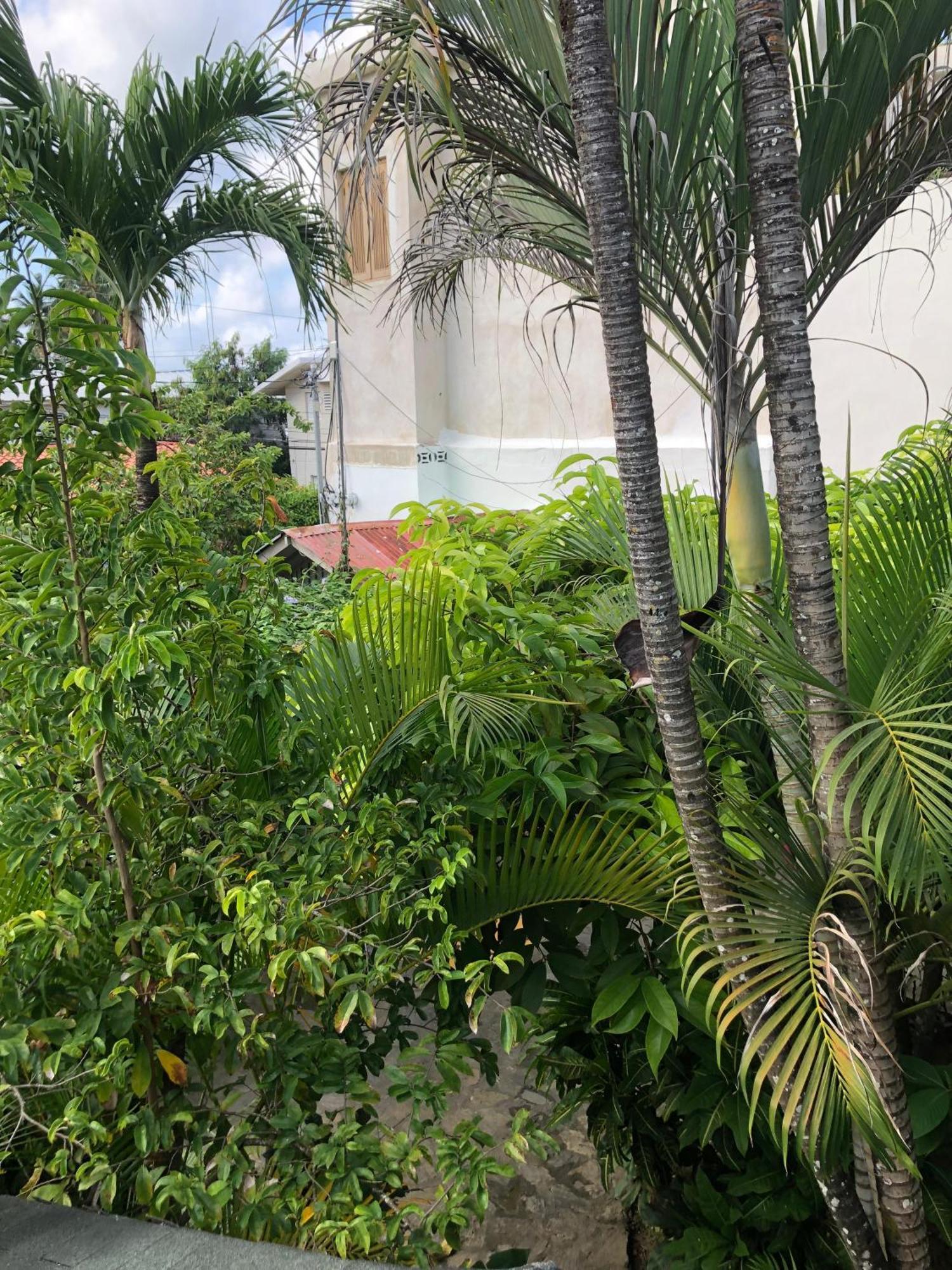 Hotel Casa Robinson Las Terrenas Eksteriør billede
