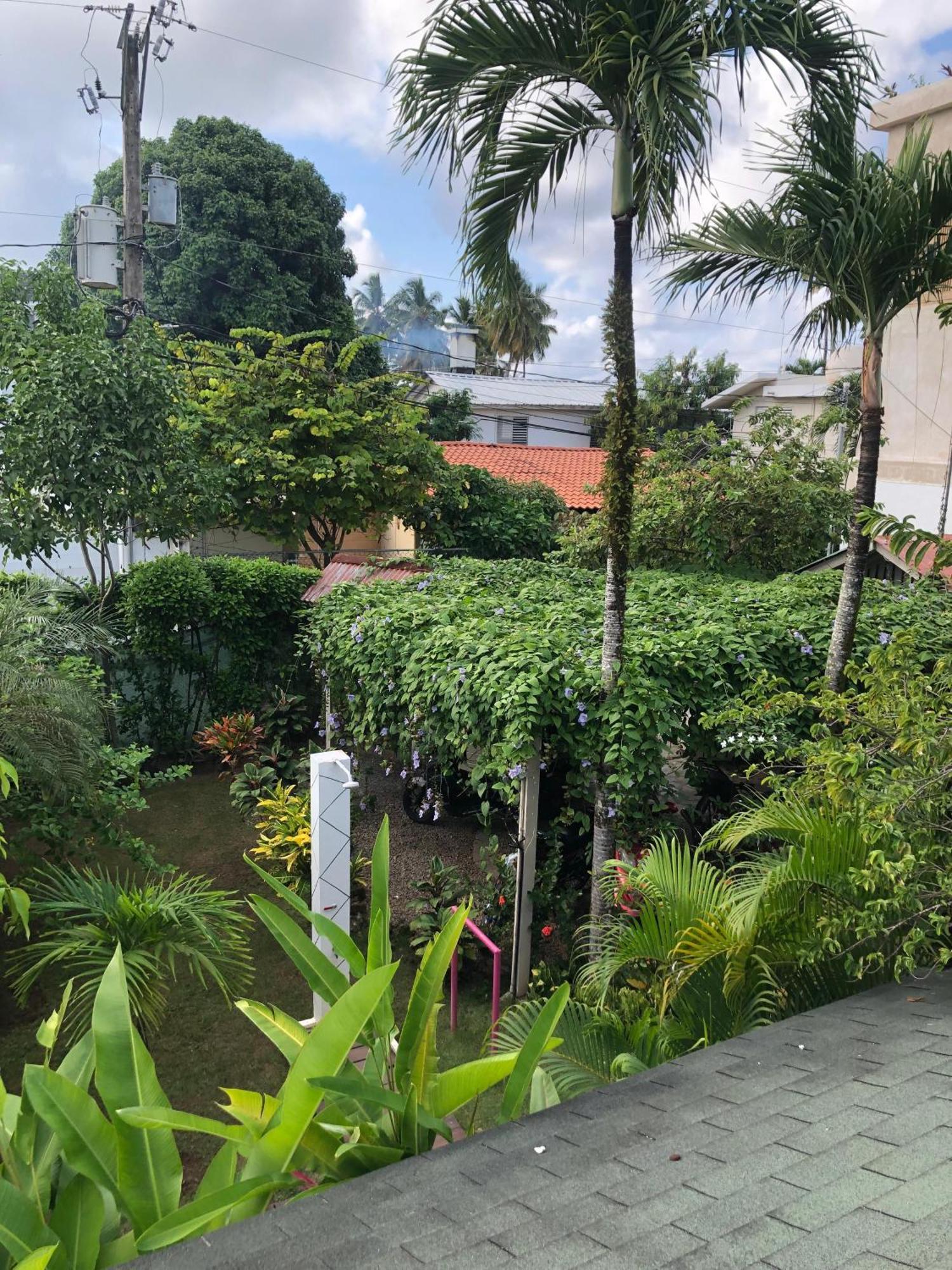 Hotel Casa Robinson Las Terrenas Eksteriør billede