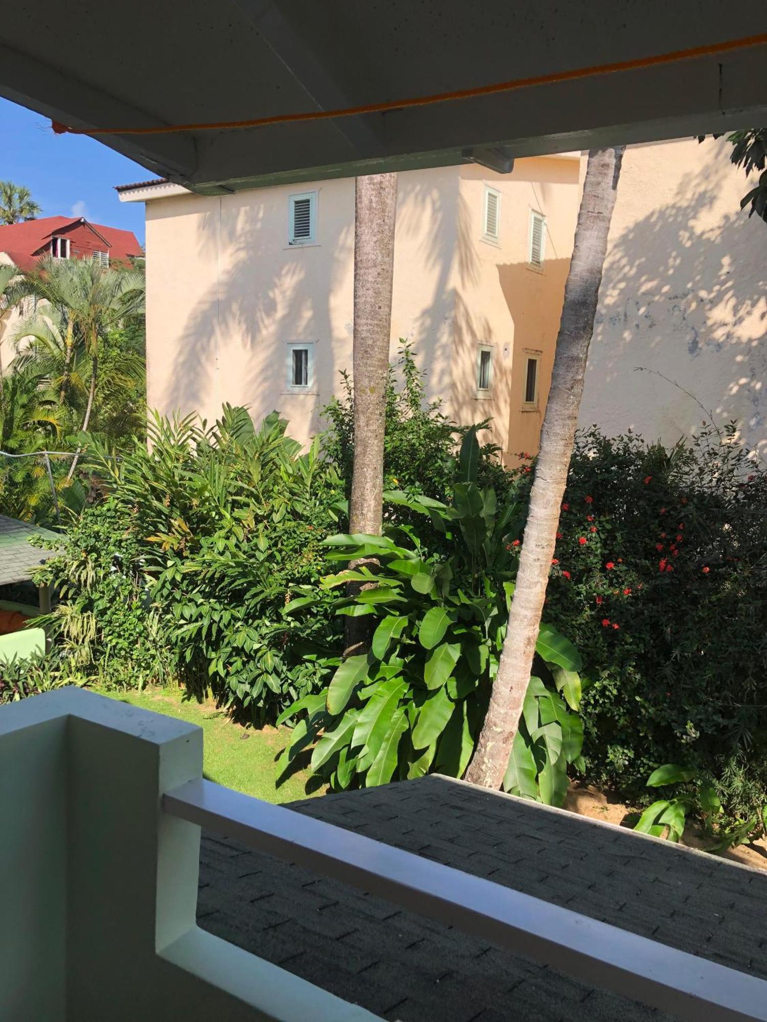 Hotel Casa Robinson Las Terrenas Eksteriør billede