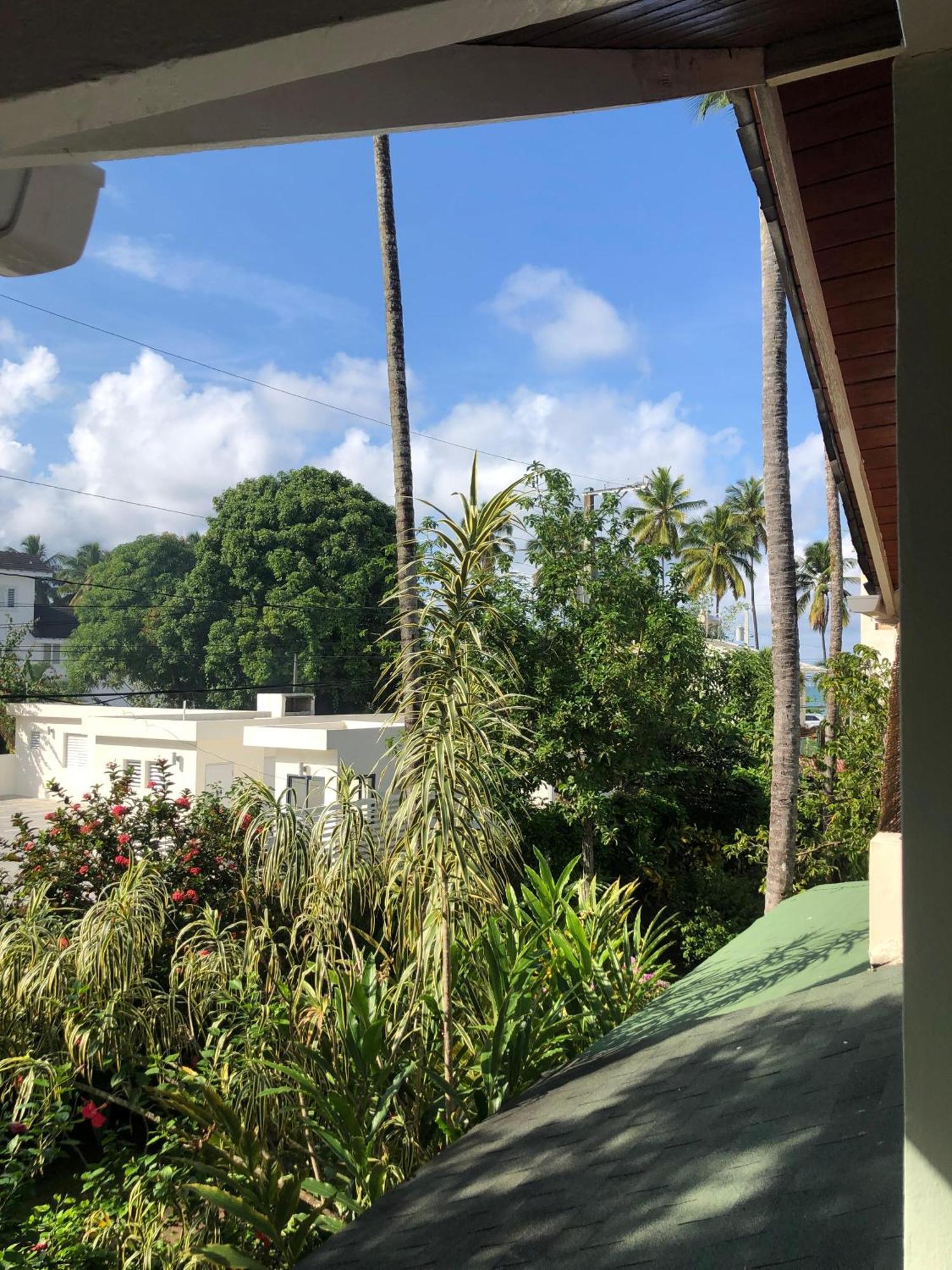 Hotel Casa Robinson Las Terrenas Eksteriør billede